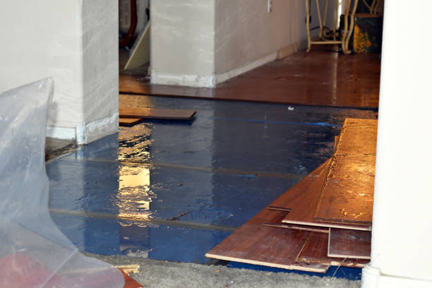 Professional Basement Flood Cleanup technician working in Elkins Park, PA